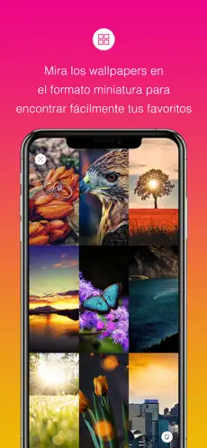 Captura de Pantalla 3 Bellos fondos de pantalla HD iphone