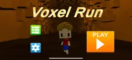 Game screenshot Voxel Run mod apk