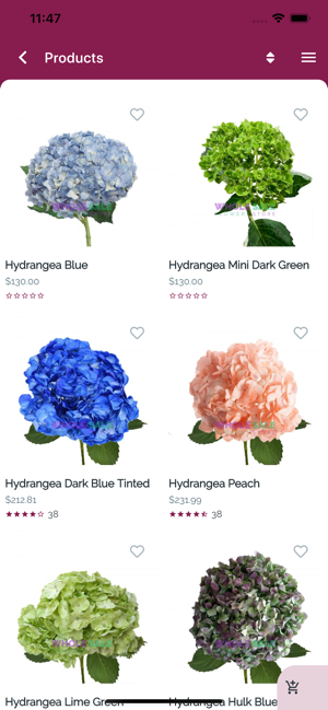 Wholesale Flowers Store(圖6)-速報App