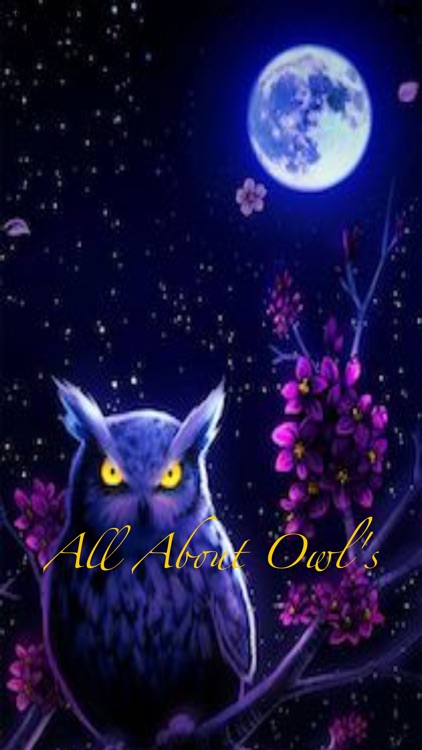 All About Owl's