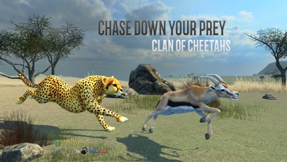 How to cancel & delete Clan Of Cheetahs from iphone & ipad 3