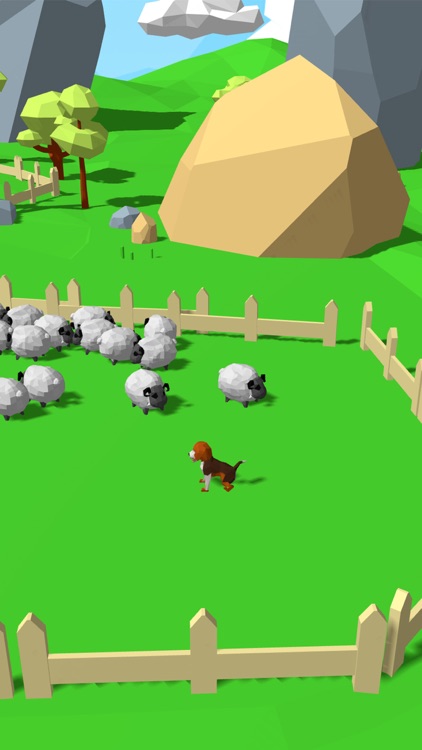 Herding Dog 3D