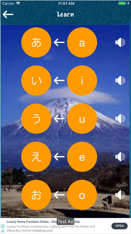 Hiragana & Katakana screenshot-3