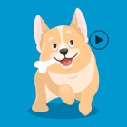 Top 30 Stickers Apps Like Animated Puppies Emojis - Best Alternatives