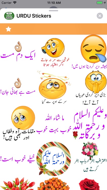 URDU Stickers screenshot-5