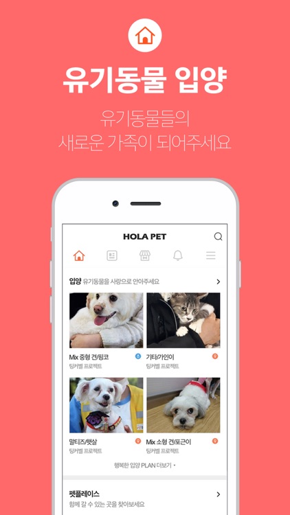 올라펫 (강아지, 고양이, 반려동물 커뮤니티) screenshot-3