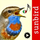 Top 15 Reference Apps Like Canzoni d'uccelli, versi di richiamo degli uccelli - Best Alternatives