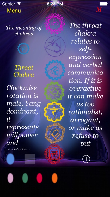 Chakra aura view