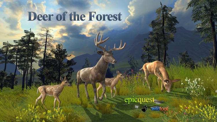 Deer of the Forest screenshot-0