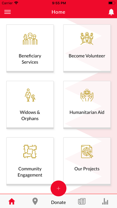 Royal Humanitarian Foundation screenshot 2
