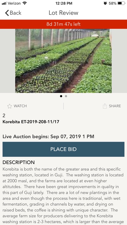 Zabuni Coffee Auction