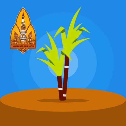 KKU SCWC Download