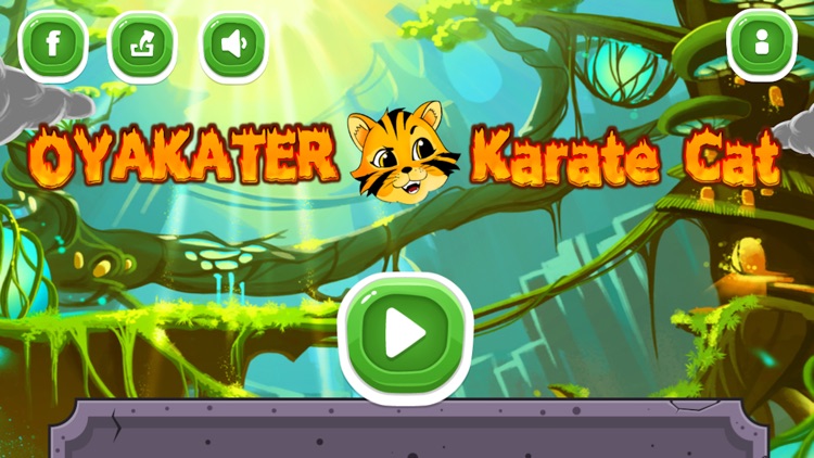 OYAKATER Karate Cat