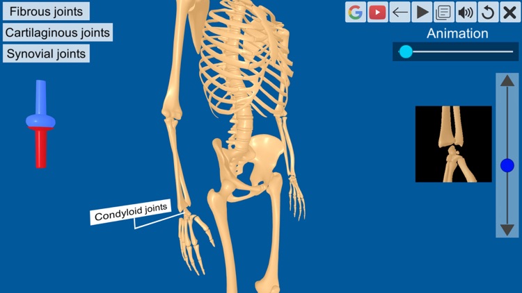 Joints: The Human Levers screenshot-4