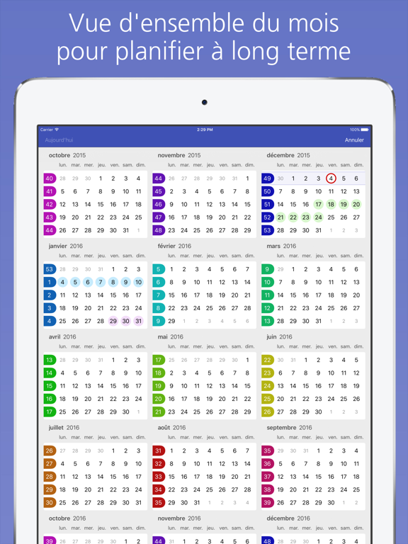 Easy Calendar iPad captures décran
