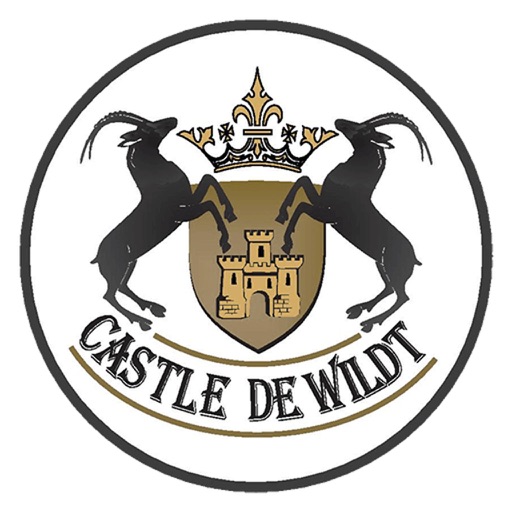 Castle De Wildt