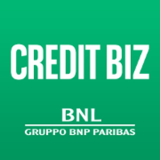 CREDIT BIZ