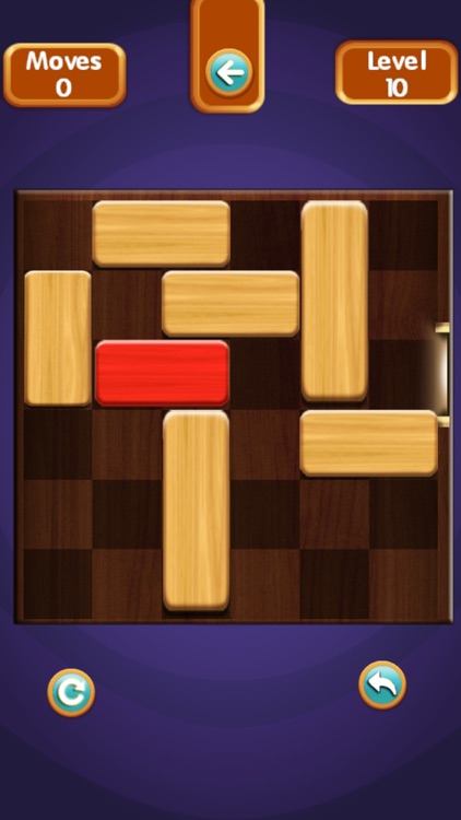 Unblock Puzzle Pro