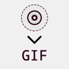Live2GIF