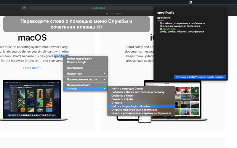 Lingvo Russian-English screenshot 4