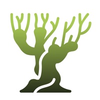 Braives - Commune du Saule pour PC