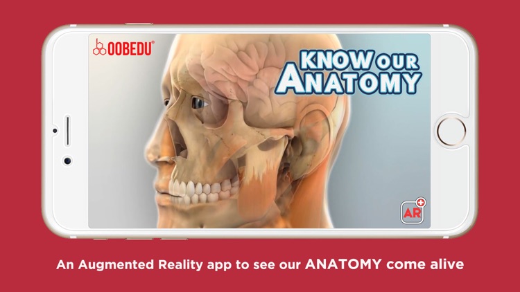 Know our Anatomy by OOBEDU