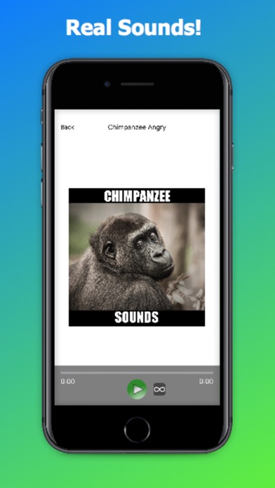 Real Chimpanzee Sounds screenshot 3