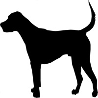 Chiens - Quiz sur PC