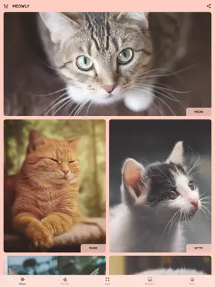Screenshot 1 Cat App - Meowly Cats iphone
