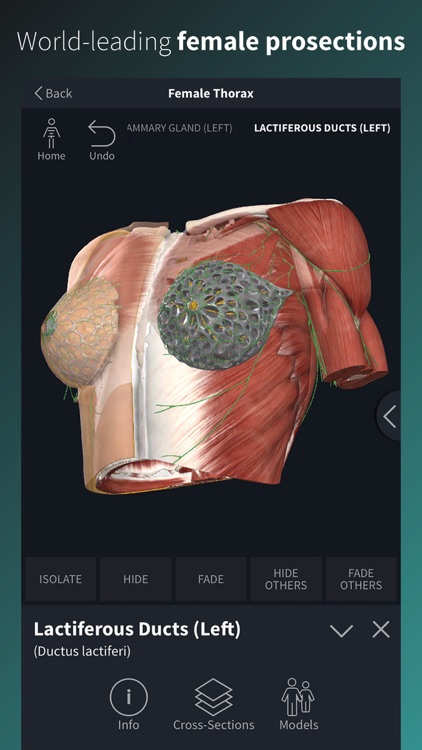 Complete Anatomy Platform '20 screenshot-5