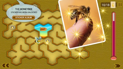 Honey Tina and Bees screenshot 4