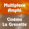 Multiplexe Amphi et Grenette