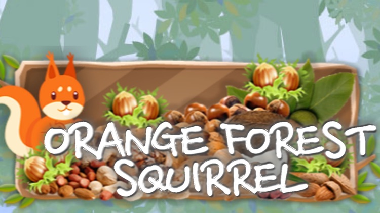 Orange forest squirrel