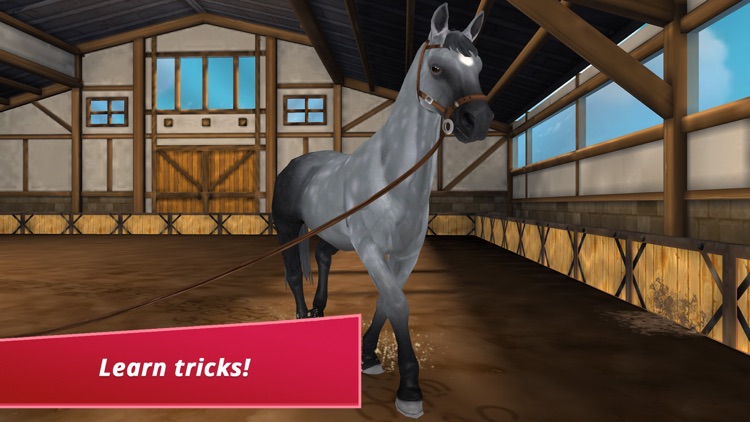 Horse Hotel - care for horses screenshot-3