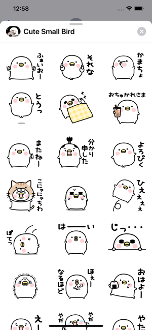 Cute Small Birdy(圖1)-速報App