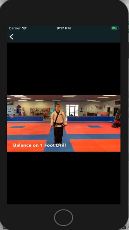 Grogan's Martial Arts screenshot-4