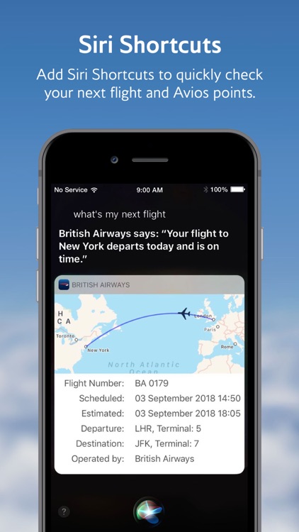 British Airways screenshot-4