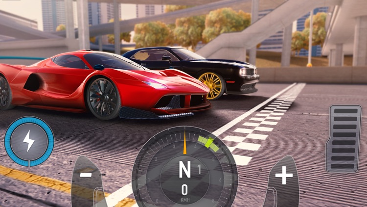 Top Speed 2: Racing Legends screenshot-0