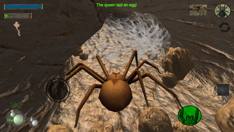 Spider Colony Simulator screenshot-3