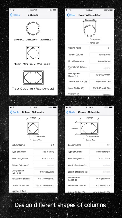 eStructural Lite: RCD-ASD-USC screenshot-4