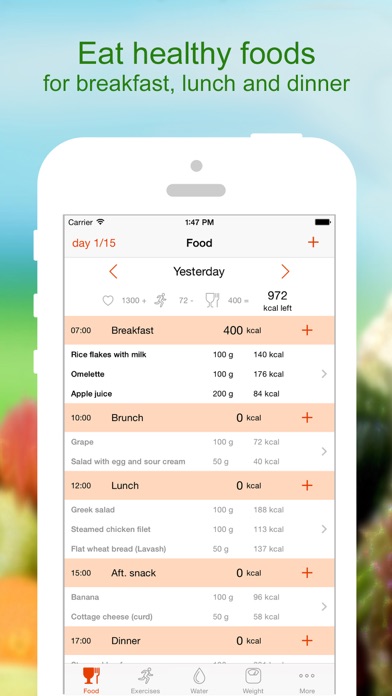 How to cancel & delete Lose Weight - Calorie Counter from iphone & ipad 3