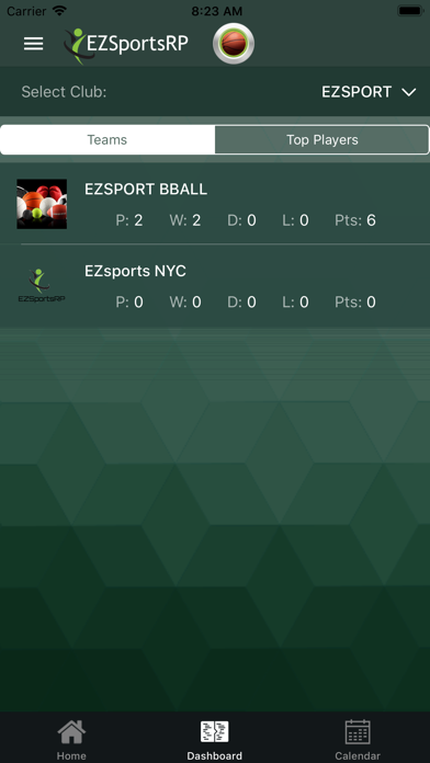EZSportsRP screenshot 4