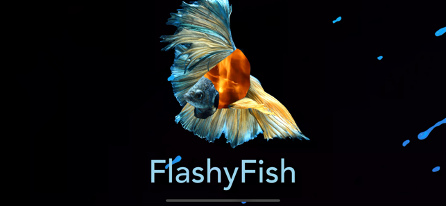 Flashy Fish: Design Evolution