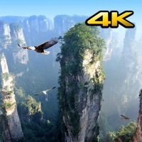 Vidéos d'arrière-plan 4K pour PC