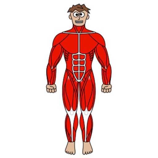 Muscle Scan Mike V2