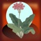 The Seed Tracker & Organizer & Gardening Milestones is an app to get you moving on your home garden and to help you track it for better foods and productivity
