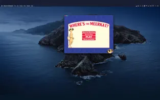 Screenshot 4 Where's the Meerkat iphone