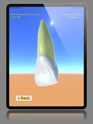 Captura 3 3D Tooth Anatomy iphone