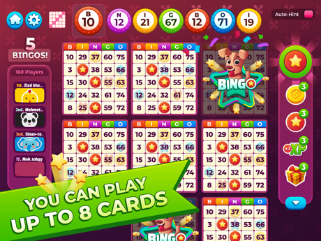 Tips and Tricks for Bingo My Home