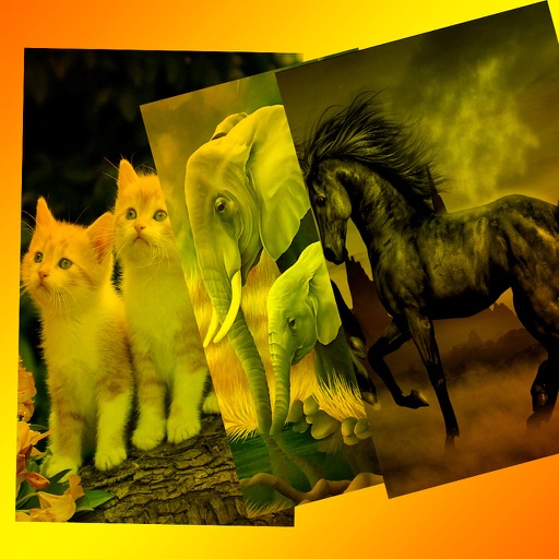 Animals Backgrounds and Wallpapers icon